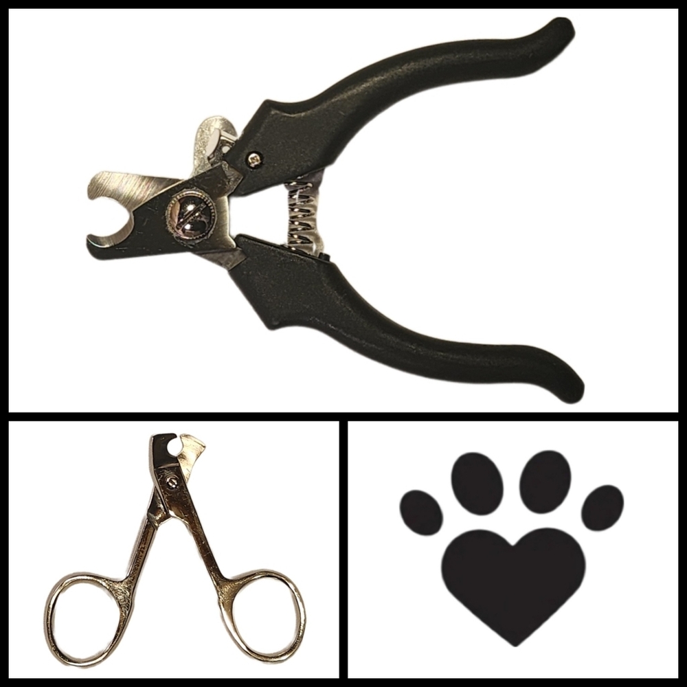 Pet Nail Clippers for Small Dogs or Cats (2~Total)